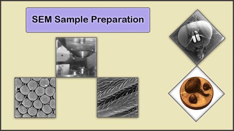 VAC-Sample-Preparation_2-768x431 VAC-Sample-Preparation_2-768x431