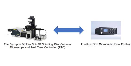 Elveflow_1 Elveflow_1