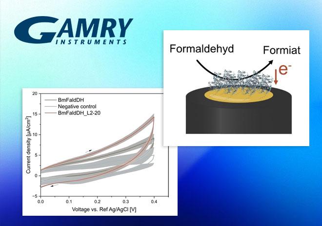 【Gamry】提升甲醛脫氫酶直接電子轉移能力的蛋白質工程